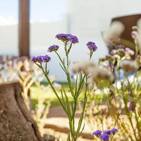 Villa Villa Algarve By Real Life Concierge